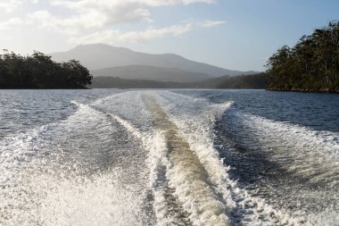 tinny dinghy boat on the water making a wake behind a boat making waves on a river in a national park in australia. beach in summer, dingy going fast in the wilderness clipart