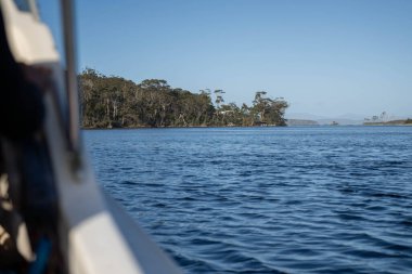 tinny dinghy boat on the water making a wake behind a boat making waves on a river in a national park in australia. beach in summer, dingy going fast in the wilderness clipart