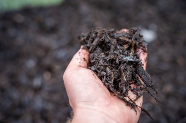 Gübre halkası, tarım tarlasında karbon sürdürülebilir yenilenebilir gıda çiftliği barındıran bir çiftlikte gübre yığını oluşturuyor. 