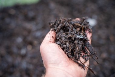 Gübre halkası, toprakta karbon depolayan mikroorganizmaları tutan bir çiftlikte gübre yığını oluşturuyor.