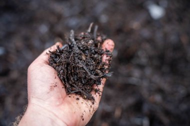 compost ring making compost pile on a farm holding microorganisms storing carbon sustainable regenerative food farm in a field on an agricultural farm  clipart