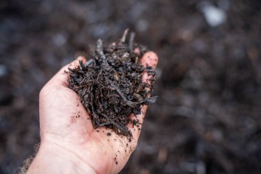 compost ring making compost pile on a farm holding microorganisms storing carbon sustainable regenerative food farm in a field on an agricultural farm  clipart