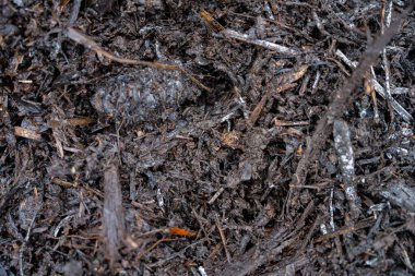 Gübre halkası, tarım tarlasında karbon sürdürülebilir yenilenebilir gıda çiftliği barındıran bir çiftlikte gübre yığını oluşturuyor. 