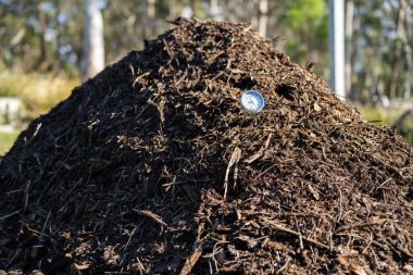 Avustralya 'da bir çiftlikteki gübre yığınının sıcaklığını kontrol ediyor.