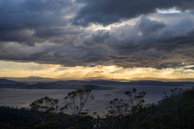 Avustralya ormanlarındaki güzel sakız ağaçları ve çalılar. Gumtrees ve yerli bitkiler baharda Avustralya 'da büyür. Bir ormanda büyüyen okaliptüs.