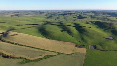Avustralya 'da bir tarlada saman balyası yapmak. Çayırda sallanan balya tohumu 
