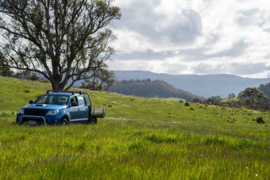 Bir çiftlikteki çim tarlasında bir kamyon. Taşrada, Avustralya 'nın taşrasında toprak bir yolda giderken bir kamyonda bir çiftlikte bir çitte.