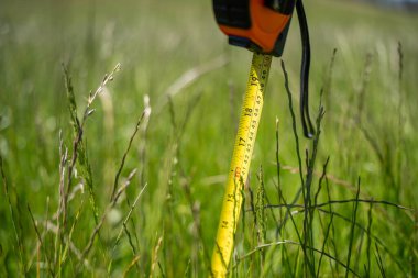 Çiftçi bir tarlada çimen ve otlakları ölçüyor. Otlak bütçesi yapıyor ve ekin yetiştiriyor. Yeni Zelanda 'da bir çiftlikte bitkiler ve inekler için beslenen tarımcı.