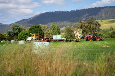 Avustralya 'da bir çiftlikte saman, tohum ve balya toplayarak sürdürülebilir bir tarlada tomurcuklanıyor.