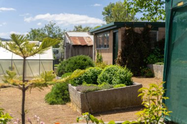 Açık toplum bahçesi çiçek ve sebze yetiştiriyor. Aileler ve çocuklar doğayı keşfediyor.