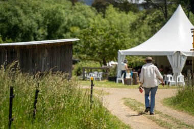 Yenileyici organik çiftçi, toprak örnekleri alıyor ve bir çiftlikteki bitkilere bakıyor. Bir otlakta sürdürülebilir tarım uygulaması