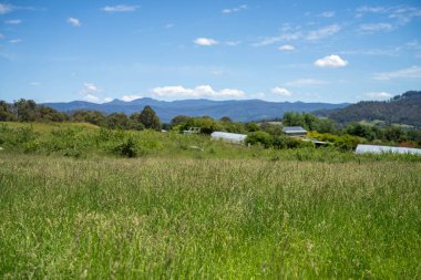 Yenilenebilir bir çiftlikte sürdürülebilir gıda üretiminde büyüyen tarım ürünleri, çayırlar ve otlar. Yerli bitkiler akşam karanlığında karbon depoluyorlar. Avustralya 'da baharda tarım arazisi