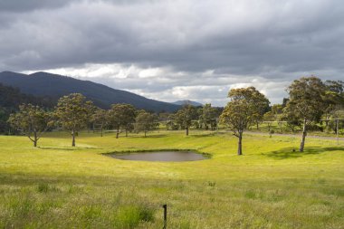 Yenilenebilir bir çiftlikte sürdürülebilir gıda üretiminde büyüyen tarım ürünleri, çayırlar ve otlar. Yerli bitkiler akşam karanlığında karbon depoluyorlar. Avustralya 'da baharda tarım arazisi