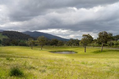 Yenilenebilir bir çiftlikte sürdürülebilir gıda üretiminde büyüyen tarım ürünleri, çayırlar ve otlar. Yerli bitkiler akşam karanlığında karbon depoluyorlar. Avustralya 'da baharda tarım arazisi
