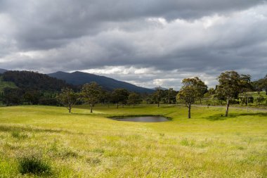 Yenilenebilir bir çiftlikte sürdürülebilir gıda üretiminde büyüyen tarım ürünleri, çayırlar ve otlar. Yerli bitkiler akşam karanlığında karbon depoluyorlar. Avustralya 'da baharda tarım arazisi