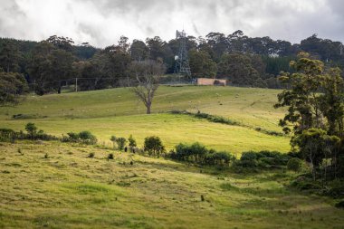 Yenilenebilir bir çiftlikte sürdürülebilir gıda üretiminde büyüyen tarım ürünleri, çayırlar ve otlar. Yerli bitkiler akşam karanlığında karbon depoluyorlar. Avustralya 'da baharda tarım arazisi