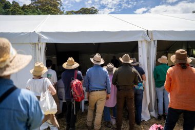 Yenileyici organik çiftçi, toprak örnekleri alıyor ve bir çiftlikteki bitkilere bakıyor. Bir otlakta sürdürülebilir tarım uygulaması