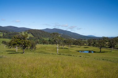 Yenilenebilir bir çiftlikte sürdürülebilir gıda üretiminde büyüyen tarım ürünleri, çayırlar ve otlar. Yerli bitkiler akşam karanlığında karbon depoluyorlar. Avustralya 'da baharda tarım arazisi