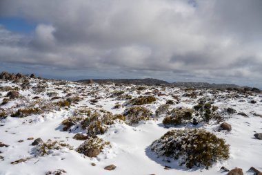 Kunanyi Dağı Wellington kışın Hobart 'ın üzerinde kar ve buzla kaplıdır.