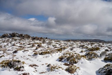 kunanyi mt wellington covered in snow and ice above hobart in winter clipart