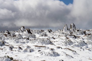 Kunanyi Dağı Wellington kışın Hobart 'ın üzerinde kar ve buzla kaplıdır.