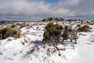 Dağda kar var, insanlar kışın oynuyor.