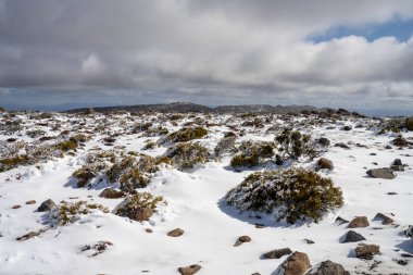 Kunanyi Dağı Wellington kışın Hobart 'ın üzerinde kar ve buzla kaplıdır.