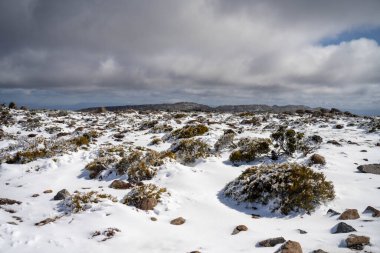 Dağda kar var, insanlar kışın oynuyor.