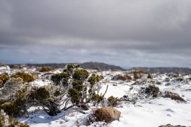 Dağda kar var, insanlar kışın oynuyor.