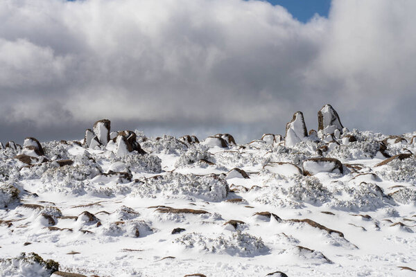 Кунаньи Веллингтон покрыт снегом и льдом над Хобартом зимой