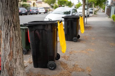 İlkbaharda Avustralya 'nın banliyölerinde çöp tenekesi.
