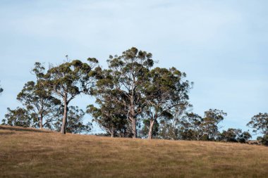 Doğanın güzel manzarası