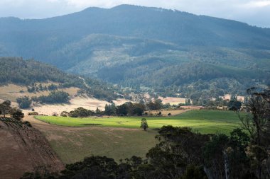 Rejeneratif tarım çiftliğinde tarımsal dönüş. Sürdürülebilir tarım Yuvarlak Döndürme. 