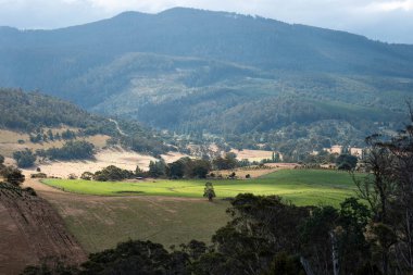 Rejeneratif tarım çiftliğinde tarımsal dönüş. Sürdürülebilir tarım Yuvarlak Döndürme. 