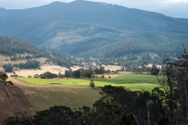 Rejeneratif tarım çiftliğinde tarımsal dönüş. Sürdürülebilir tarım Yuvarlak Döndürme. 