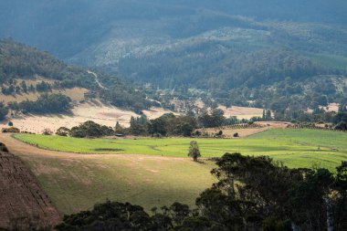Rejeneratif tarım çiftliğinde tarımsal dönüş. Sürdürülebilir tarım Yuvarlak Döndürme. 