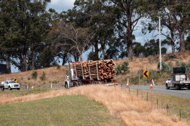 Ağaç kesme kamyonu Avustralya 'da otobanda kereste taşıyor. 
