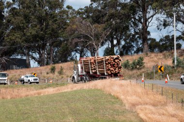 Ağaç kesme kamyonu Avustralya 'da otobanda kereste taşıyor. 