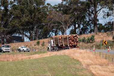 Ağaç kesme kamyonu Avustralya 'da otobanda kereste taşıyor. 