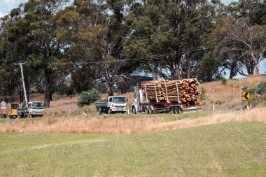 Ağaç kesme kamyonu Avustralya 'da otobanda kereste taşıyor. 