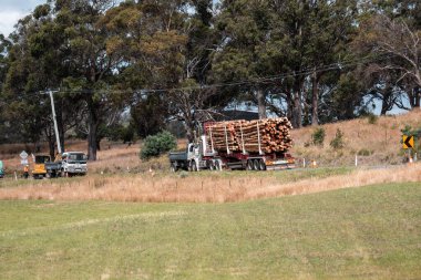 Ağaç kesme kamyonu Avustralya 'da otobanda kereste taşıyor. 