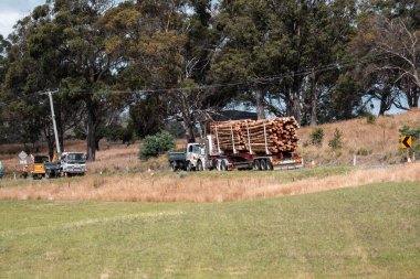 Ağaç kesme kamyonu Avustralya 'da otobanda kereste taşıyor. 