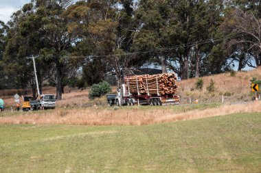 Ağaç kesme kamyonu Avustralya 'da otobanda kereste taşıyor. 