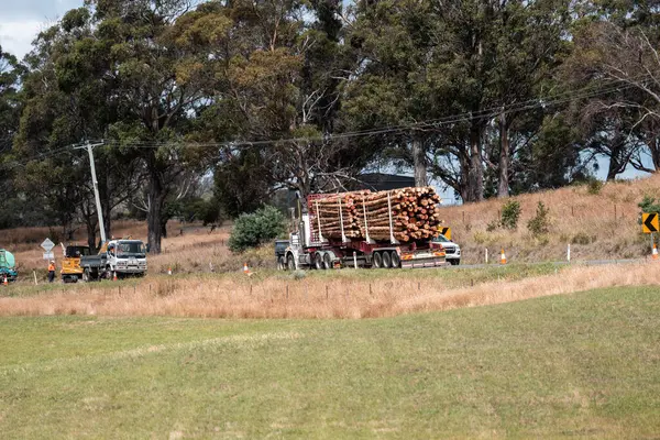 Ağaç kesme kamyonu Avustralya 'da otobanda kereste taşıyor. 