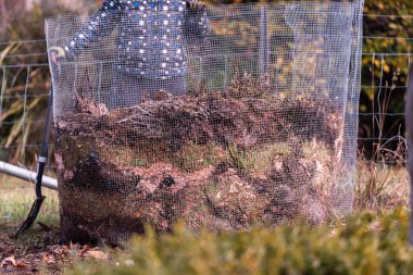 Kadın çiftçi toplum bahçesinde gübre yığınına dönüşüyor. Mikroorganizmalarla dolu gübre. Avustralya 'da sebze tarlasında toprak örneğiyle sürdürülebilir yenilenebilir tarım