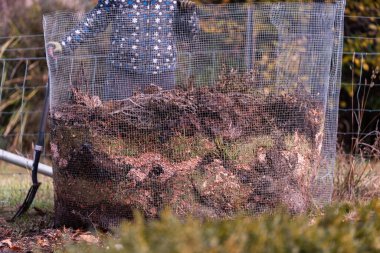 Kadın çiftçi toplum bahçesinde gübre yığınına dönüşüyor. Mikroorganizmalarla dolu gübre. Avustralya 'da sebze tarlasında toprak örneğiyle sürdürülebilir yenilenebilir tarım