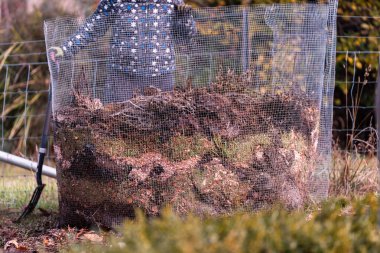 Kadın çiftçi toplum bahçesinde gübre yığınına dönüşüyor. Mikroorganizmalarla dolu gübre. Avustralya 'da sebze tarlasında toprak örneğiyle sürdürülebilir yenilenebilir tarım