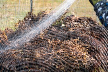 Kadın çiftçi toplum bahçesinde gübre yığınına dönüşüyor. Mikroorganizmalarla dolu gübre. Avustralya 'da sebze tarlasında toprak örneğiyle sürdürülebilir yenilenebilir tarım