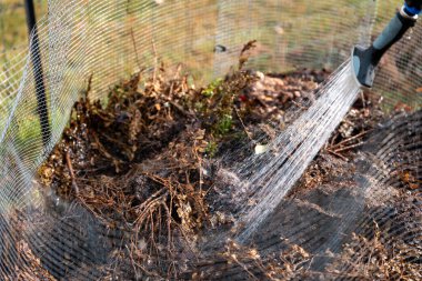 Kadın çiftçi toplum bahçesinde gübre yığınına dönüşüyor. Mikroorganizmalarla dolu gübre. Avustralya 'da sebze tarlasında toprak örneğiyle sürdürülebilir yenilenebilir tarım