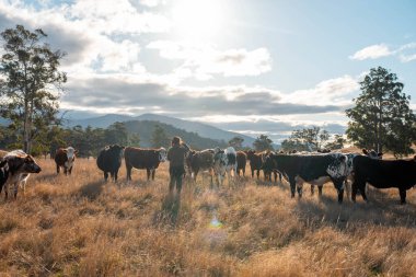 Saha araştırmacılarından bir kadın çiftçi iklim değişikliğinin toprak ve orman sağlığı etkilerini araştırıyor.